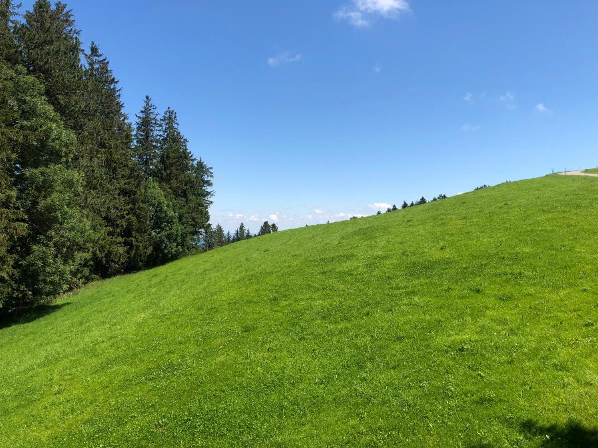 Hirschen Wald - Gasthaus & Baeckerei ภายนอก รูปภาพ