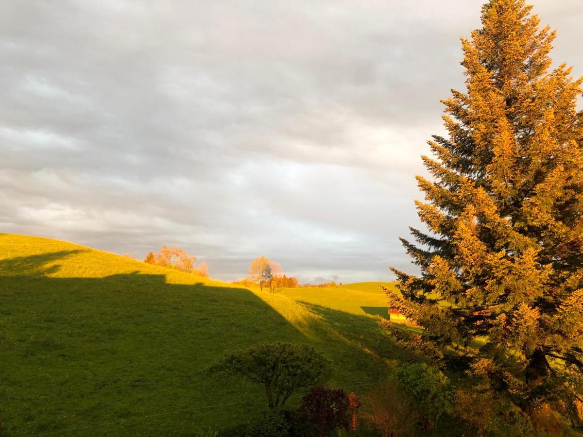 Hirschen Wald - Gasthaus & Baeckerei ภายนอก รูปภาพ