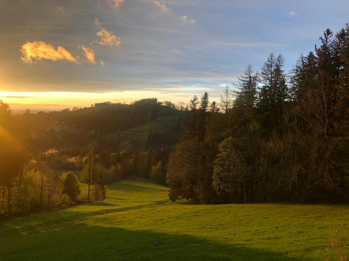 Hirschen Wald - Gasthaus & Baeckerei ภายนอก รูปภาพ