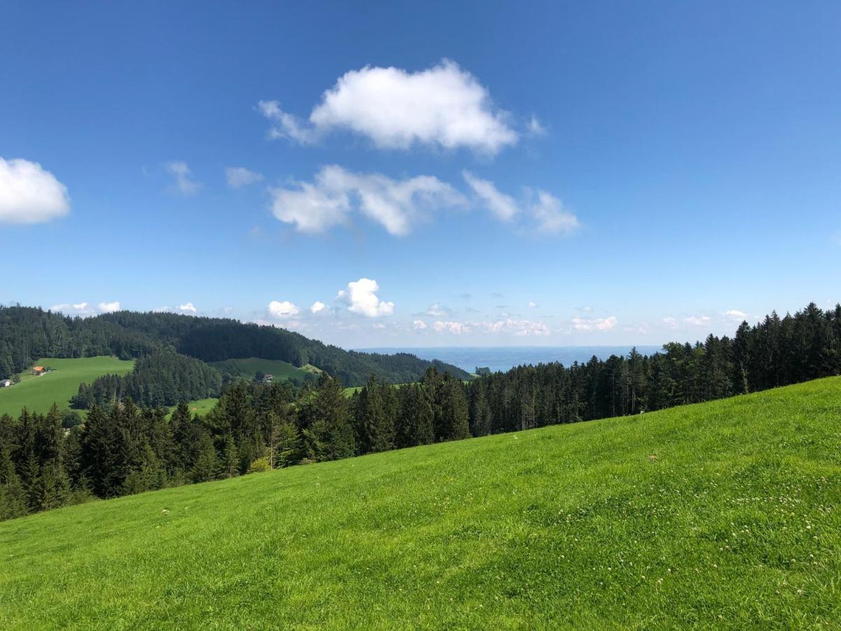 Hirschen Wald - Gasthaus & Baeckerei ภายนอก รูปภาพ