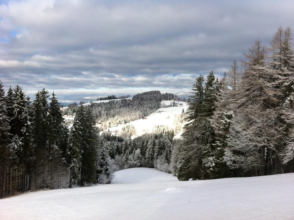 Hirschen Wald - Gasthaus & Baeckerei ภายนอก รูปภาพ