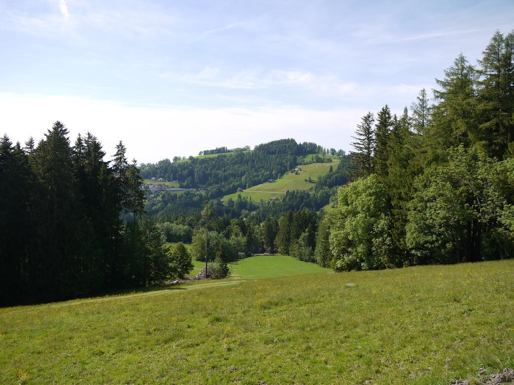 Hirschen Wald - Gasthaus & Baeckerei ภายนอก รูปภาพ
