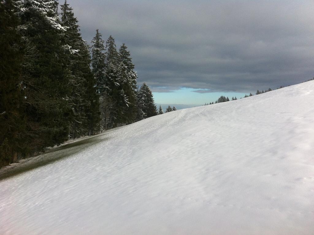 Hirschen Wald - Gasthaus & Baeckerei ภายนอก รูปภาพ